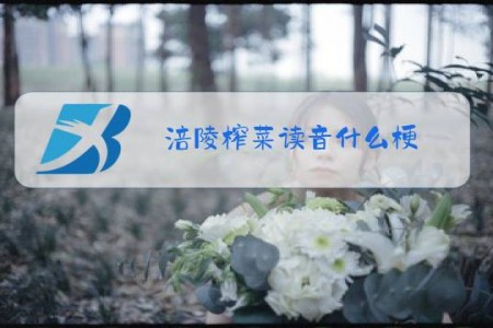 涪陵榨菜读音什么梗