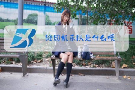 缝纫机乐队是什么梗