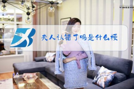 夫人认错了吗是什么梗