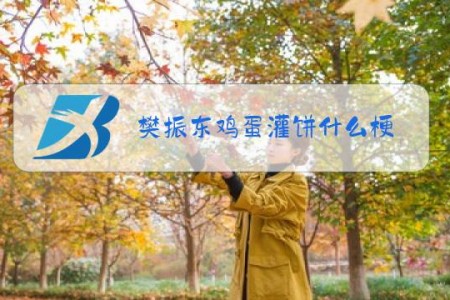 樊振东鸡蛋灌饼什么梗
