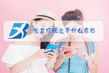鬼畜玩梗选手什么意思