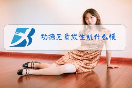 功德无量放生机什么梗