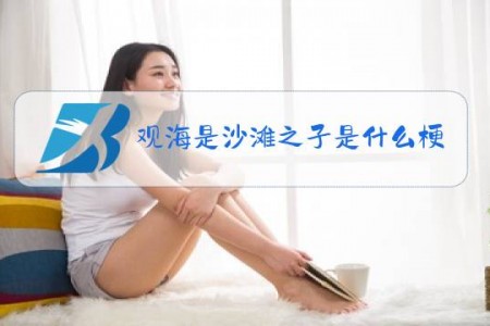观海是沙滩之子是什么梗