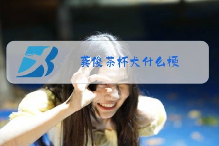 龚俊茶杯犬什么梗