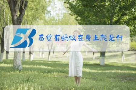 感觉有蚂蚁在身上爬是什么梗