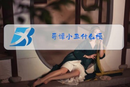 哥谭小丑什么梗