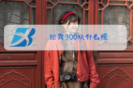 给我300块什么梗