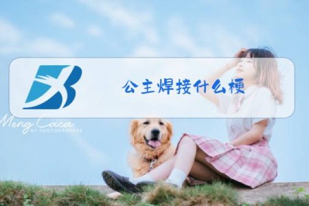 公主焊接什么梗