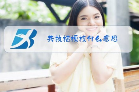 共执桔梗枝什么意思