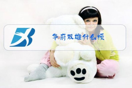 华府双雄什么梗