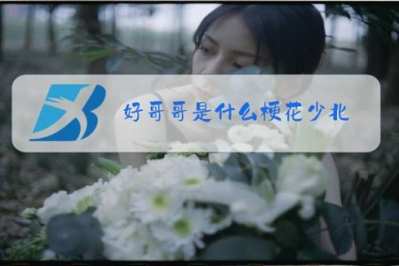 好哥哥是什么梗花少北