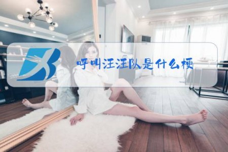 呼叫汪汪队是什么梗