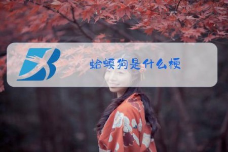 蛤蟆狗是什么梗