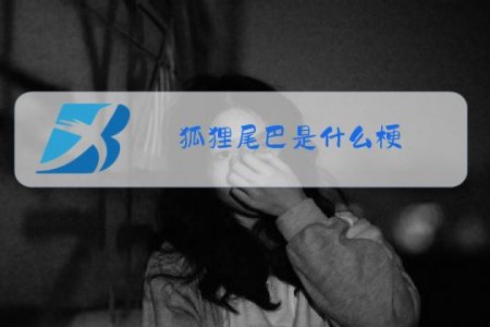 狐狸尾巴是什么梗