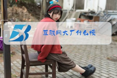 互联网大厂什么梗
