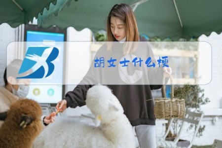 胡女士什么梗