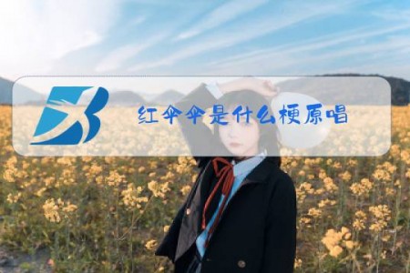 红伞伞是什么梗原唱