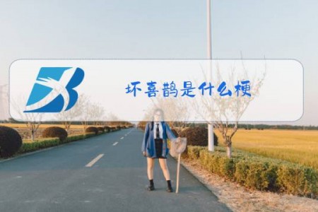 坏喜鹊是什么梗