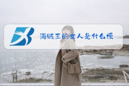 海贼王的女人是什么梗