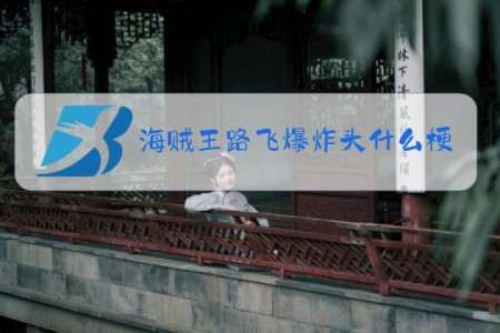 海贼王路飞爆炸头什么梗