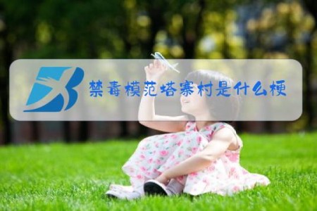 禁毒模范塔寨村是什么梗