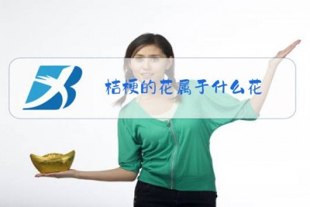 桔梗的花属于什么花