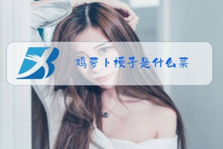 鸡萝卜梗子是什么菜
