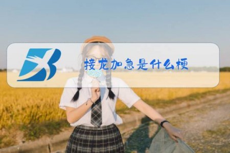 接龙加急是什么梗