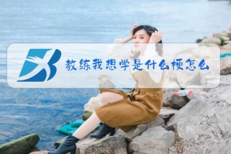 教练我想学是什么梗怎么怼回去