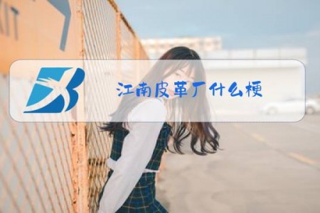 江南皮革厂什么梗