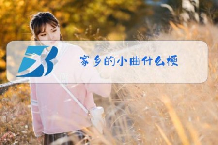 家乡的小曲什么梗