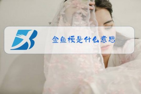 金鱼梗是什么意思