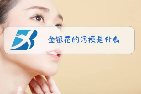 金银花的污梗是什么