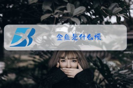金鱼是什么梗,如何避免