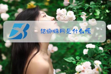 结蜘蛛网是什么梗