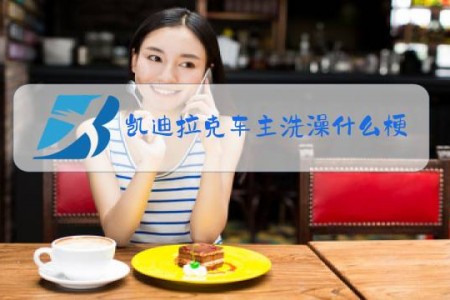 凯迪拉克车主洗澡什么梗