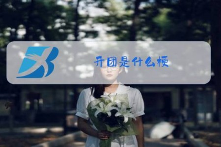 开团是什么梗