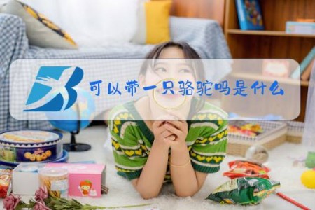 可以带一只骆驼吗是什么梗