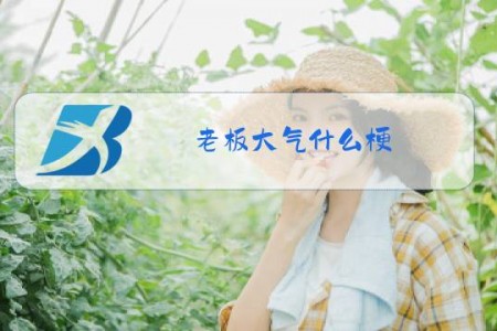 老板大气什么梗