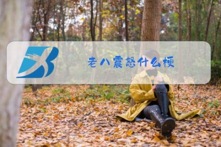 老八震怒什么梗