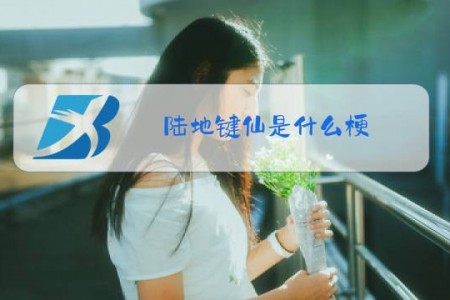 陆地键仙是什么梗