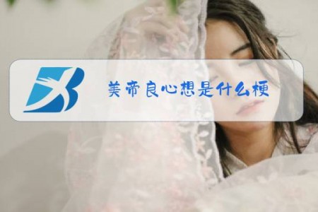 美帝良心想是什么梗