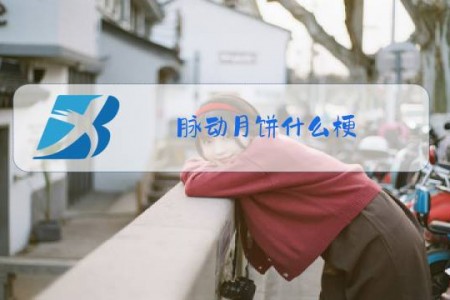脉动月饼什么梗