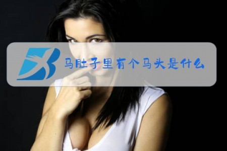 马肚子里有个马头是什么梗
