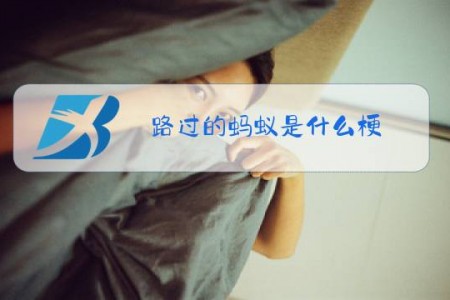 路过的蚂蚁是什么梗