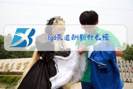 lgd天道酬勤什么梗