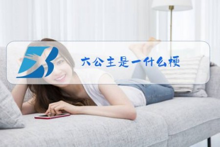 六公主是一什么梗