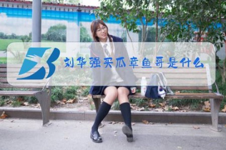 刘华强买瓜章鱼哥是什么梗