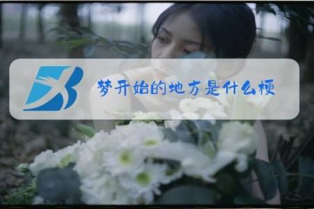 梦开始的地方是什么梗?