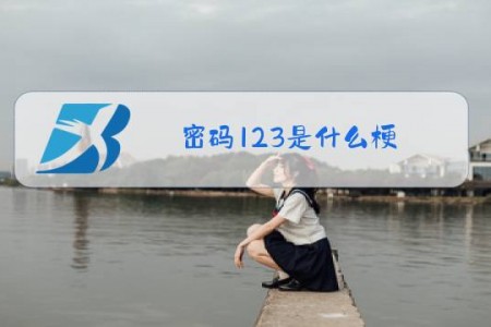 密码123是什么梗